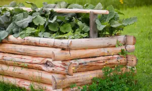 Ein rustikales Hochbeet aus Holzstämmen, gefüllt mit üppigem Grün. Ein hochbeet mal anders, das sich harmonisch in die grüne Wiese einfügt.