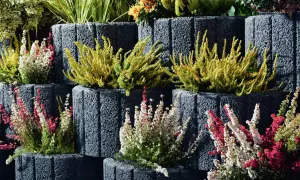 Kreative Ideen mit Pflanzsteinen: Heidekraut in Weiß, Rosa und Gelb blüht in gestapelten Betonsteinen und schafft eine farbenfrohe Gartendekoration.