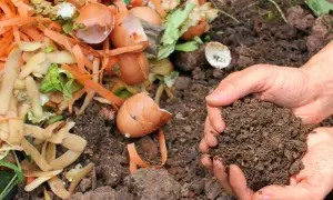 Hände halten fruchtbare Erde, neben einem Haufen Küchenabfälle wie Karottenschalen und Eierschalen. So einfach kann man kompost anlegen!