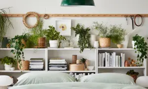 Grüne Oase im Schlafzimmer: Viele Pflanzen auf einem Regal, darunter Hängepflanzen und Farne, schaffen eine beruhigende Atmosphäre.