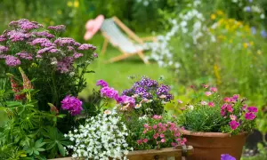 Bunte Blumenpracht im Juli: Schafgarbe, Lupinen, Geranien und Petunien blühen in voller Pracht. Perfekt für alle, die wissen, welche Blumen im Juli pflanzen.