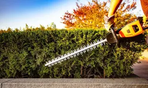 Gartenarbeit im Herbst: Eine Hand mit Handschuh benutzt eine Heckenschere, um die Hecke zu schneiden. Der Himmel ist blau, Bäume im Hintergrund leuchten in warmen Farben.