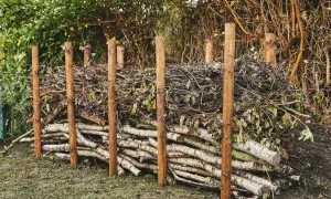 Holzstapel und Äste bilden eine rustikale totholzhecke anlegen. Ein natürlicher Lebensraum für Tiere entsteht.