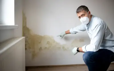 Mann mit Maske und Handschuhen zeigt auf deutlichen **Schimmel an der Wand**, der sich neben einem Heizkörper ausgebreitet hat.