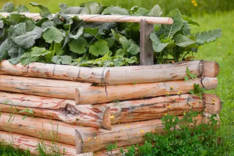 Ein rustikales Hochbeet aus Holzstämmen, gefüllt mit üppigem Grün. Ein hochbeet mal anders, das sich harmonisch in die grüne Wiese einfügt.