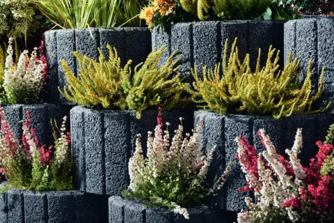 Kreative Ideen mit Pflanzsteinen: Heidekraut in Weiß, Rosa und Gelb blüht in gestapelten Betonsteinen und schafft eine farbenfrohe Gartendekoration.