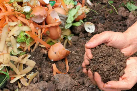 Hände halten fruchtbare Erde, neben einem Haufen Küchenabfälle wie Karottenschalen und Eierschalen. So einfach kann man kompost anlegen!