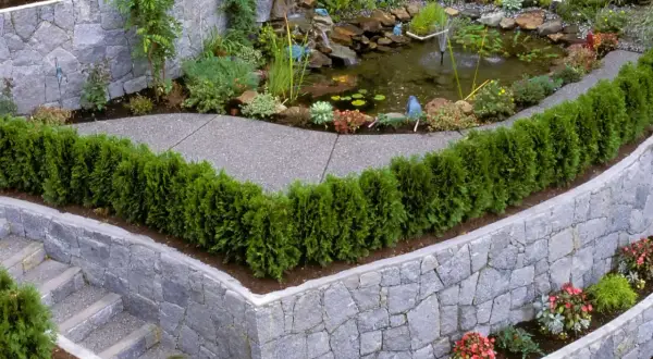 Eine malerische Gartentreppe führt an einer rustikalen steinmauer entlang, vorbei an einem kleinen Teich mit Wasserfall und üppiger Bepflanzung.