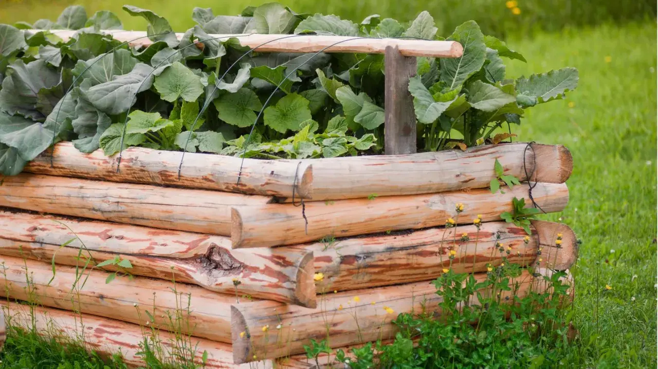 Ein rustikales Hochbeet aus Holzstämmen, gefüllt mit üppigem Grün. Ein hochbeet mal anders, das sich harmonisch in die grüne Wiese einfügt.