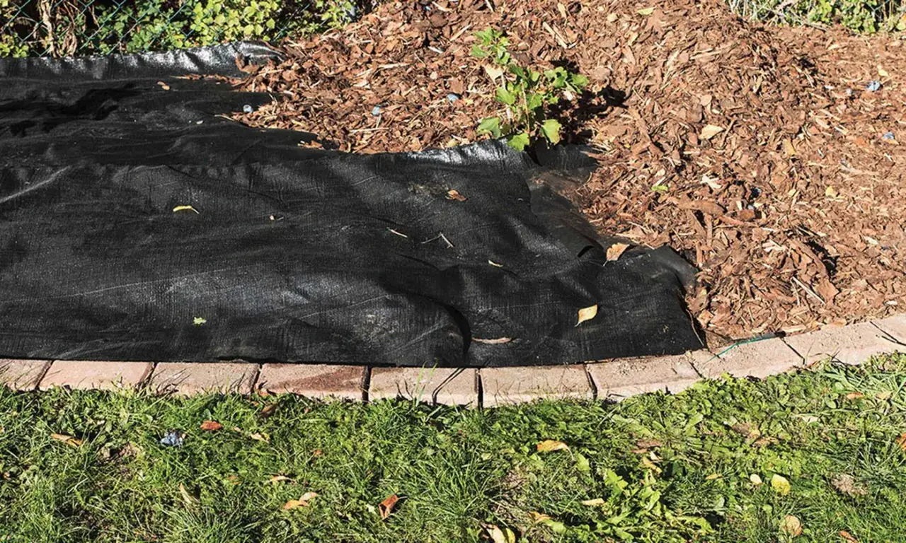 Schwarzes Unkrautvlies wird verlegt, um das Wachstum von Unkraut zu verhindern. Es liegt auf einer Rasenkante und unter Rindenmulch.