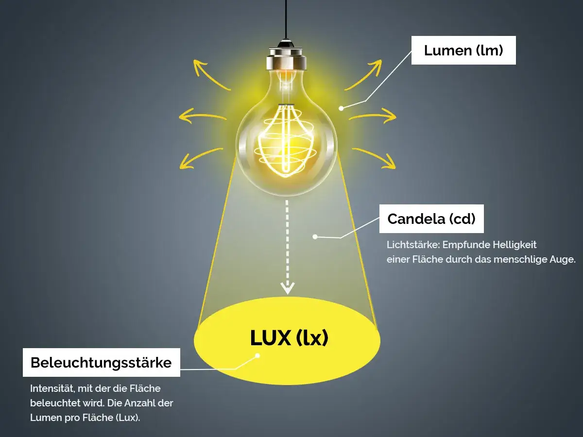 Gl&uuml;hbirne mit Lichtstrahlen, die Lumen, Candela und die Helligkeit einer Lampe (Lux) erkl&auml;ren.