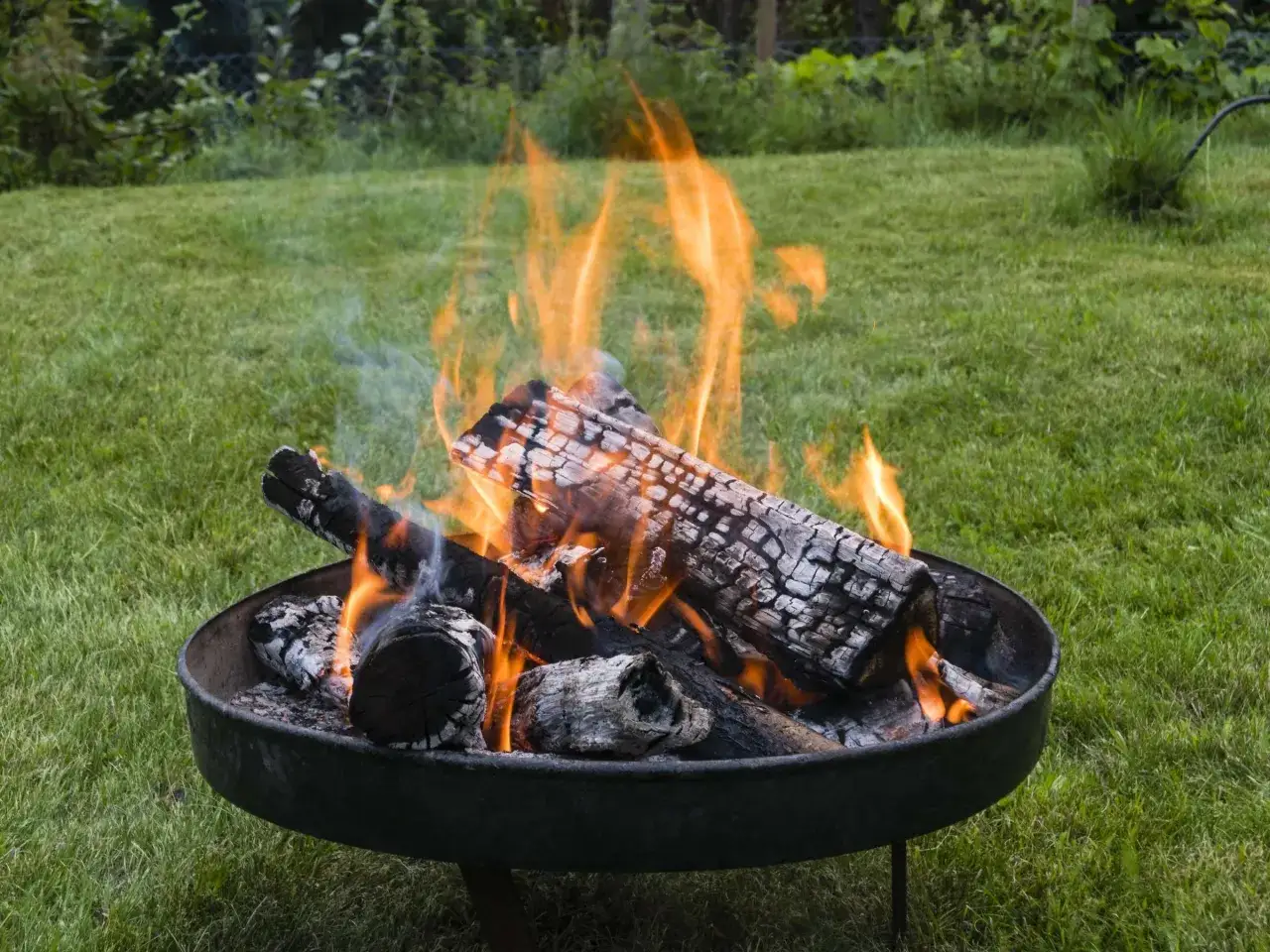 Ein knisterndes Lagerfeuer im Garten spendet W&auml;rme und Licht. Holzscheite brennen in einer Feuerschale, umgeben von gr&uuml;nem Gras.